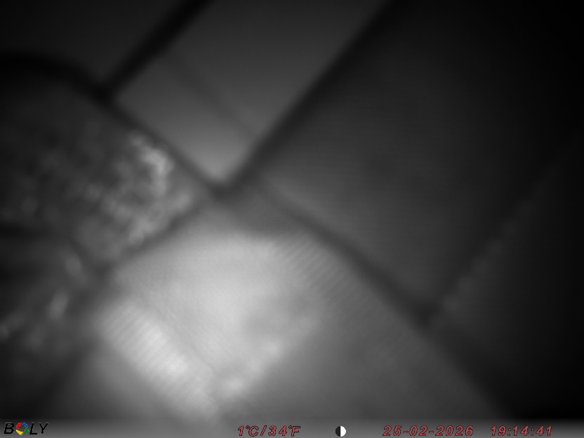 Bild från STORATRÄA