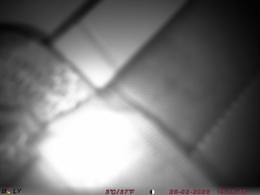 Bild från STORATRÄA