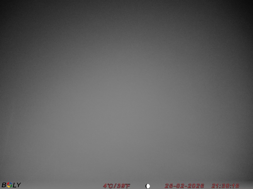 Bild från STORATRÄA