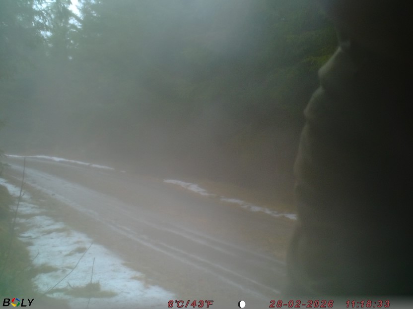 Bild från STORATRÄA