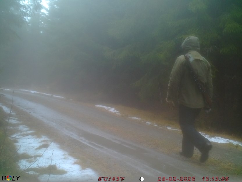 Bild från STORATRÄA