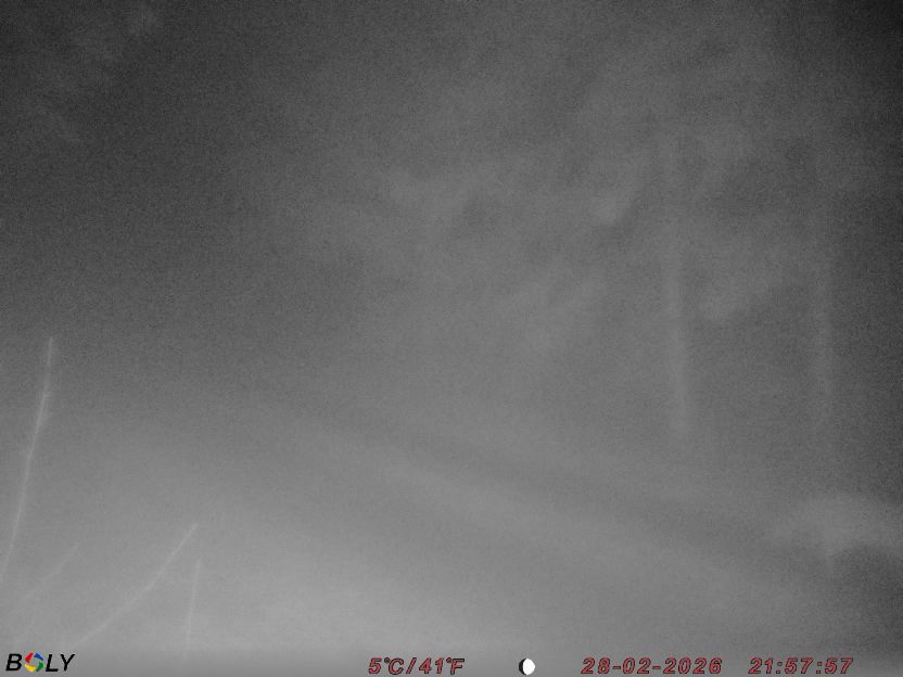 Bild från STORATRÄA