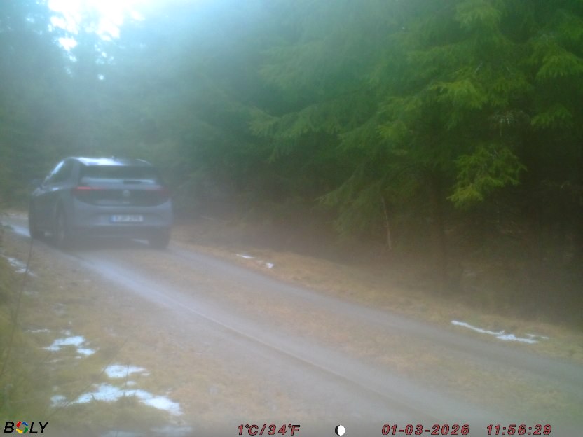 Bild från STORATRÄA