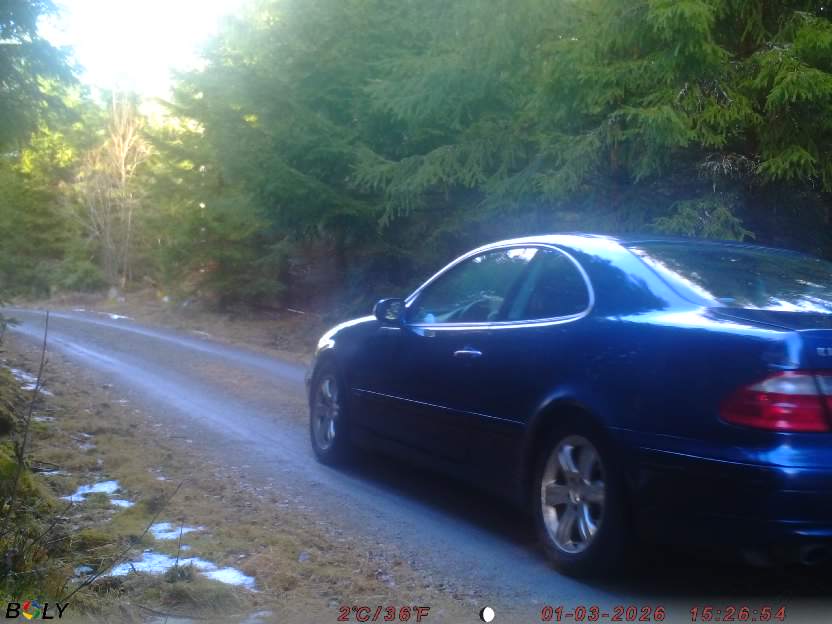 Bild från STORATRÄA