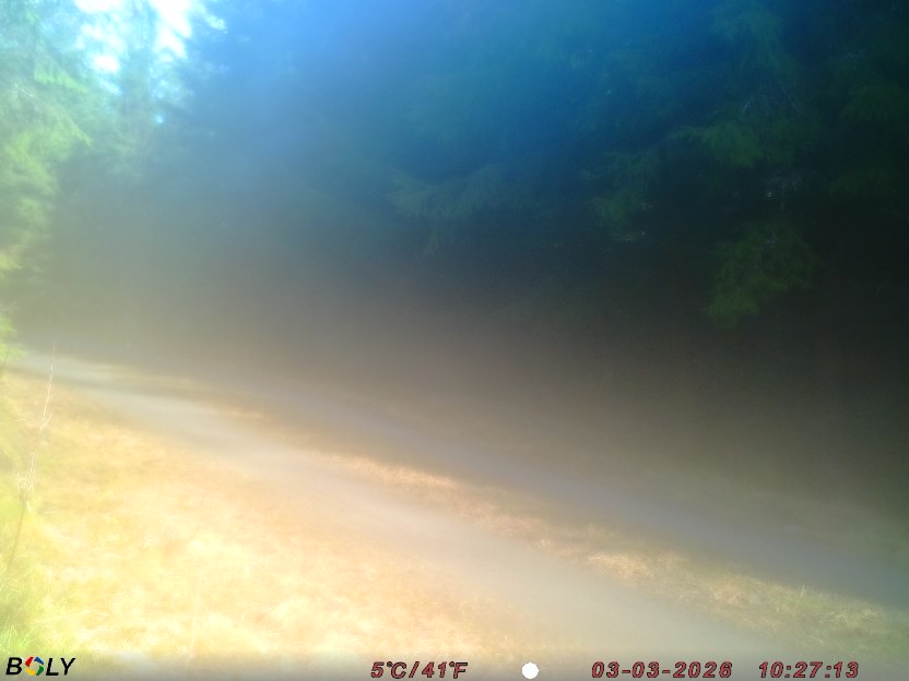 Bild från STORATRÄA