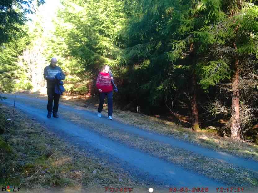 Bild från STORATRÄA