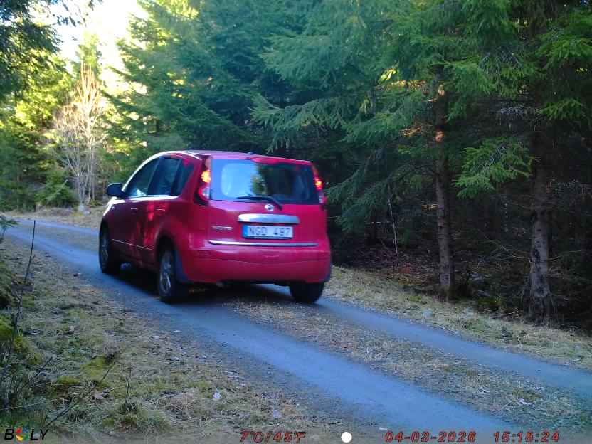 Bild från STORATRÄA