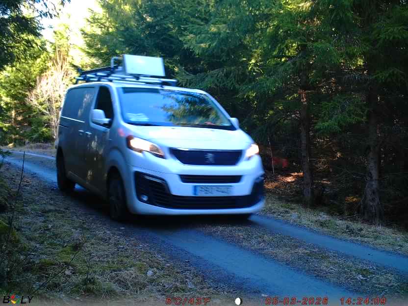 Bild från STORATRÄA