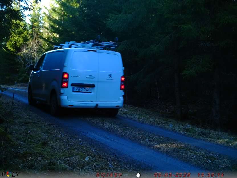 Bild från STORATRÄA