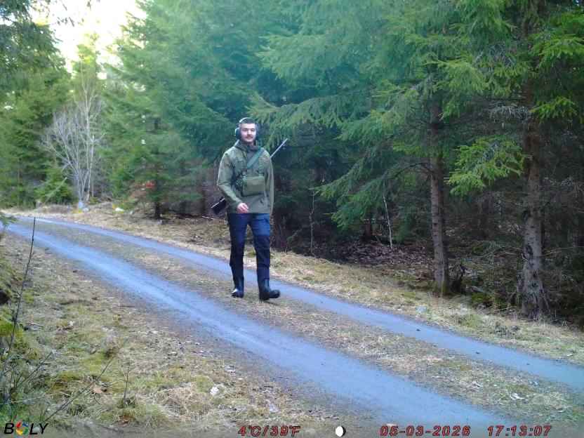 Bild från STORATRÄA