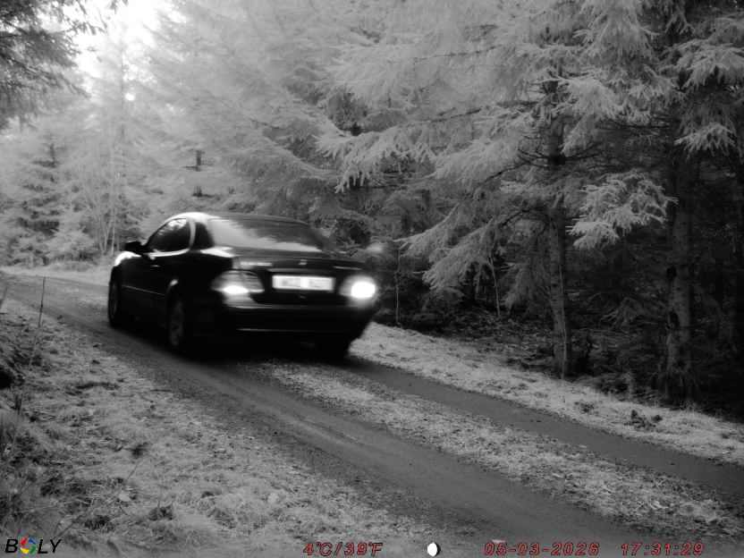 Bild från STORATRÄA