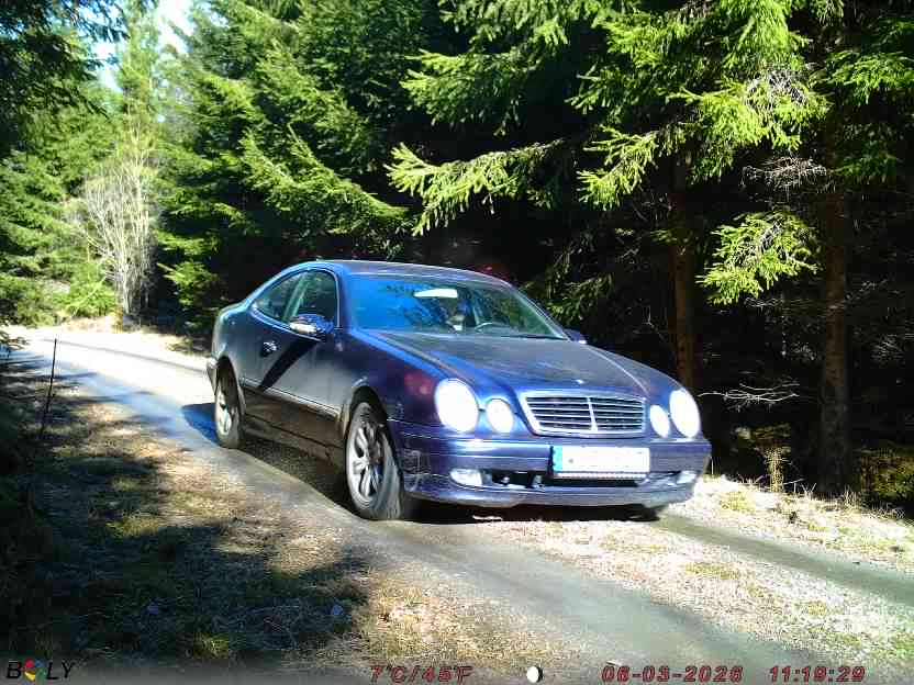 Bild från STORATRÄA