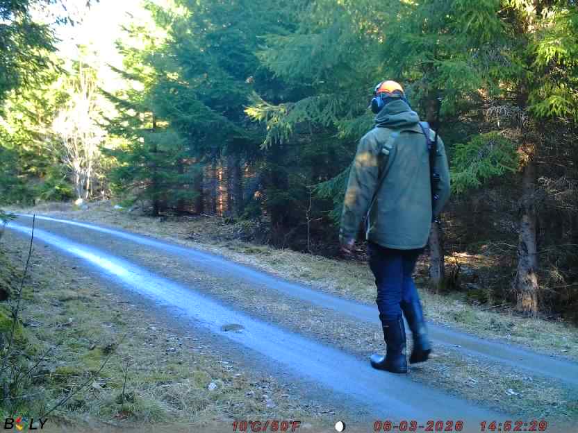 Bild från STORATRÄA