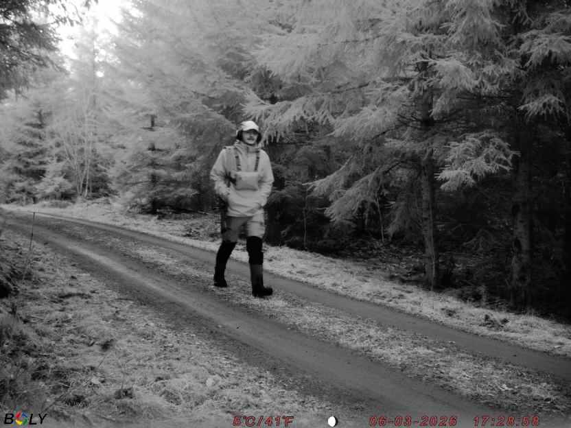 Bild från STORATRÄA