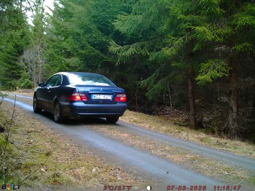 Bild från STORATRÄA