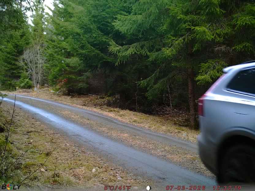 Bild från STORATRÄA