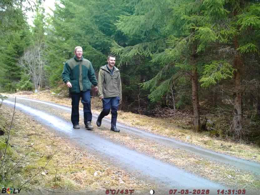 Bild från STORATRÄA