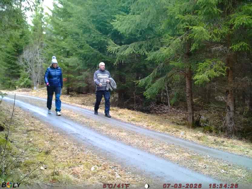 Bild från STORATRÄA