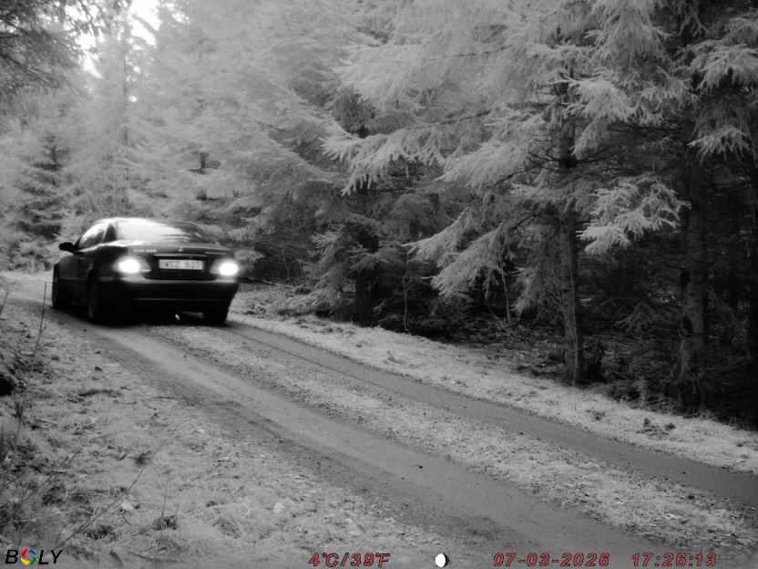 Bild från STORATRÄA