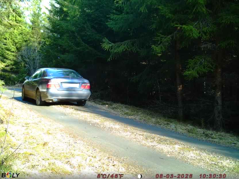 Bild från STORATRÄA