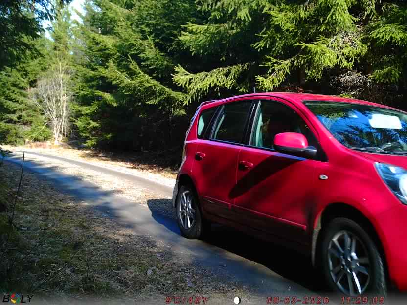 Bild från STORATRÄA