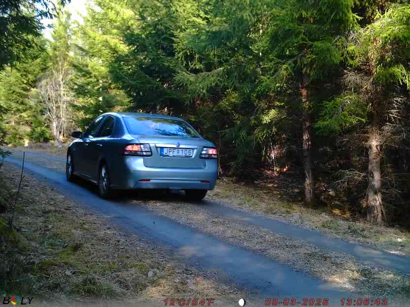 Bild från STORATRÄA