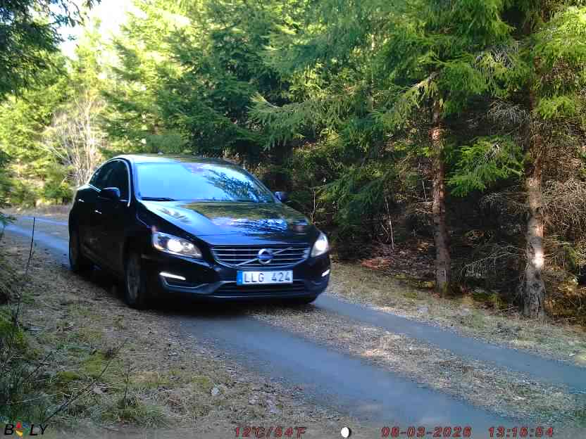 Bild från STORATRÄA