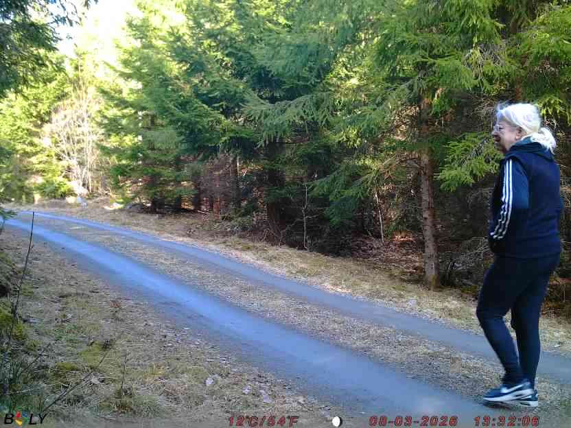 Bild från STORATRÄA