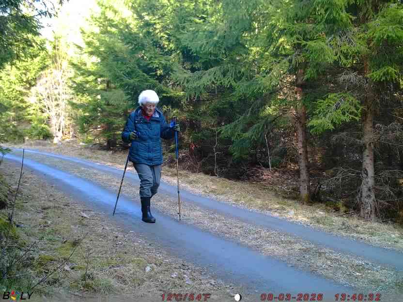 Bild från STORATRÄA