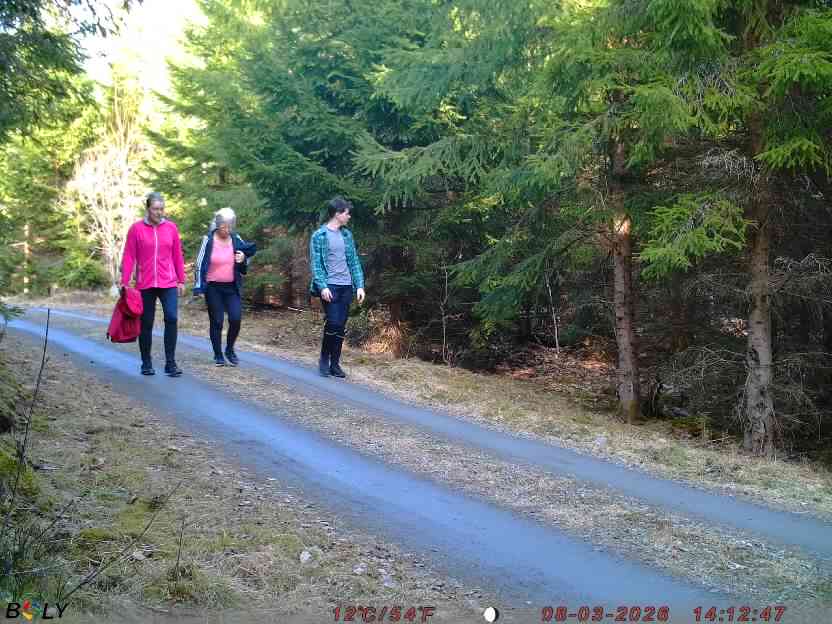 Bild från STORATRÄA