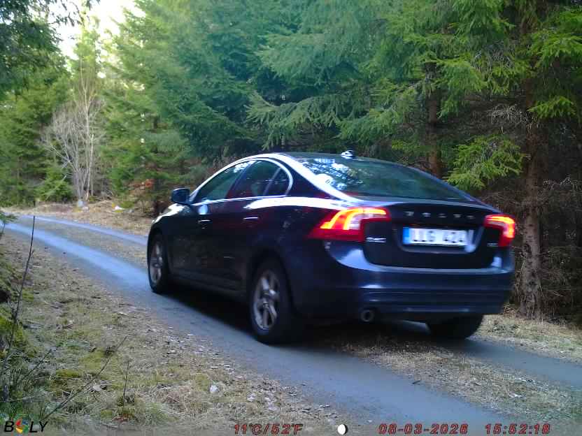 Bild från STORATRÄA