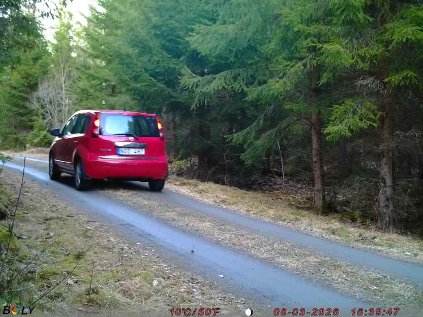 Bild från STORATRÄA