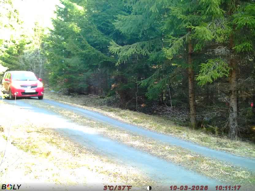 Bild från STORATRÄA