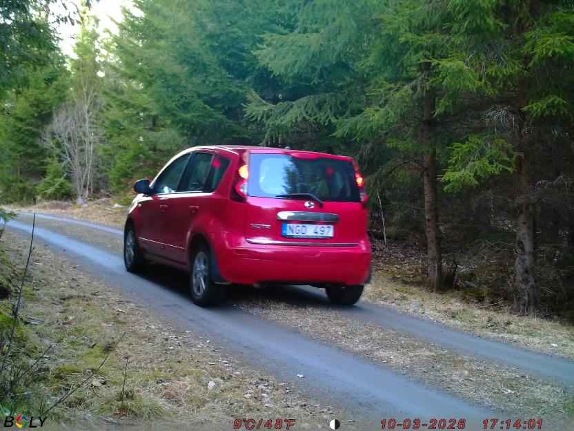 Bild från STORATRÄA