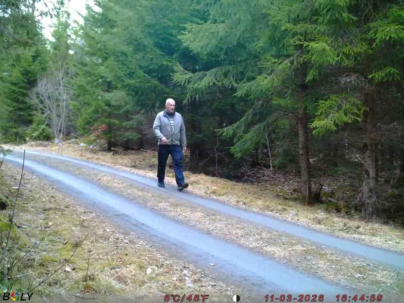 Bild från STORATRÄA