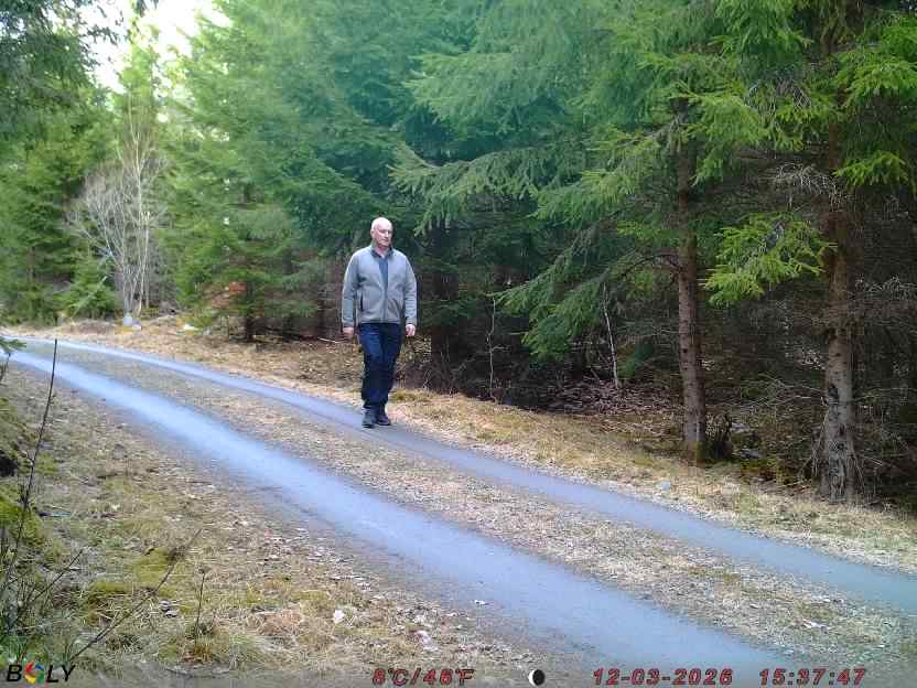 Bild från STORATRÄA