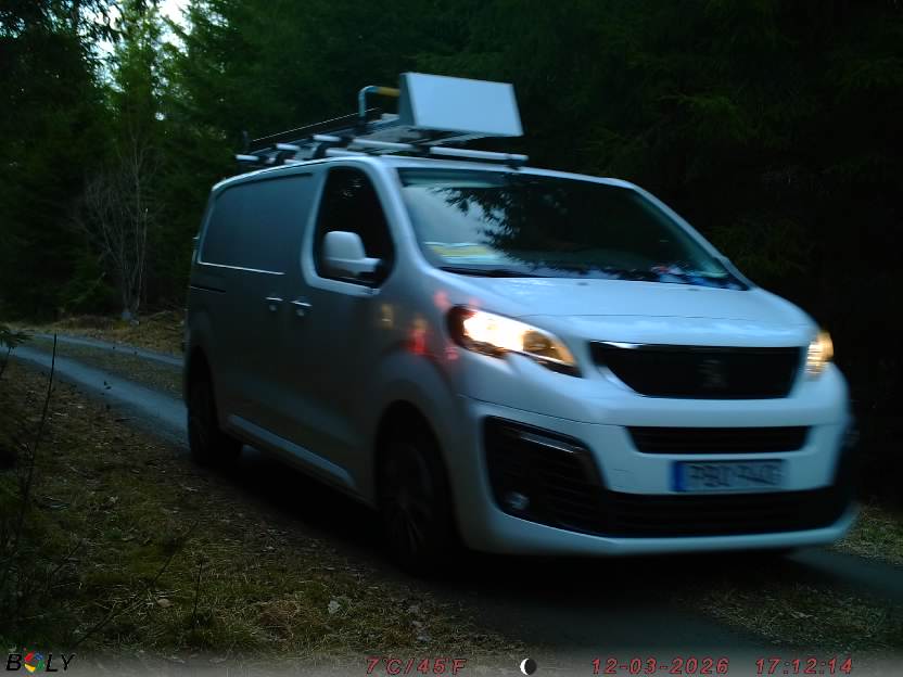 Bild från STORATRÄA