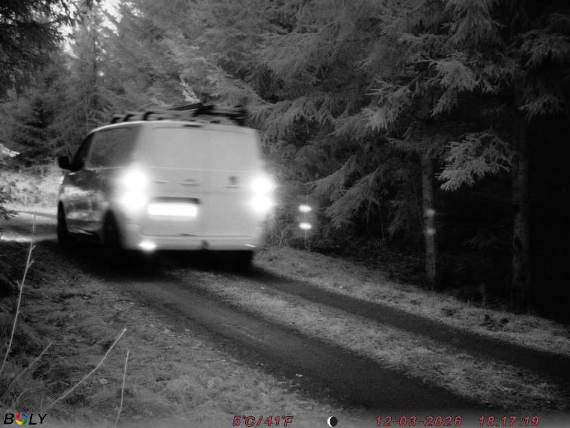 Bild från STORATRÄA