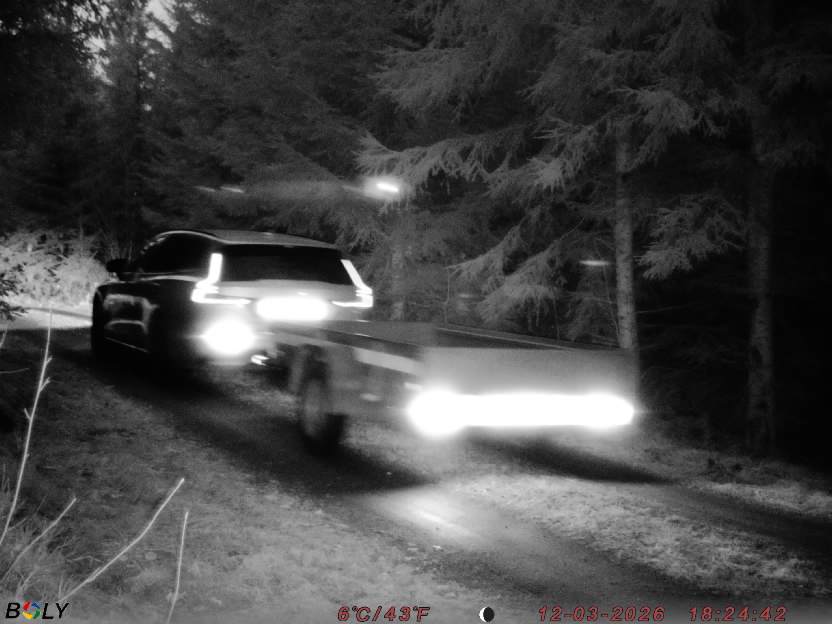 Bild från STORATRÄA