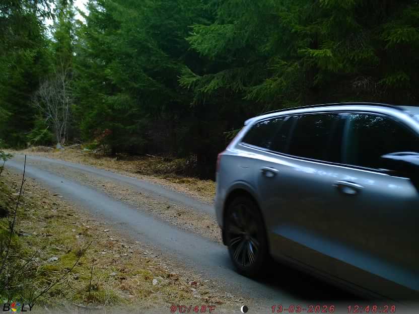 Bild från STORATRÄA