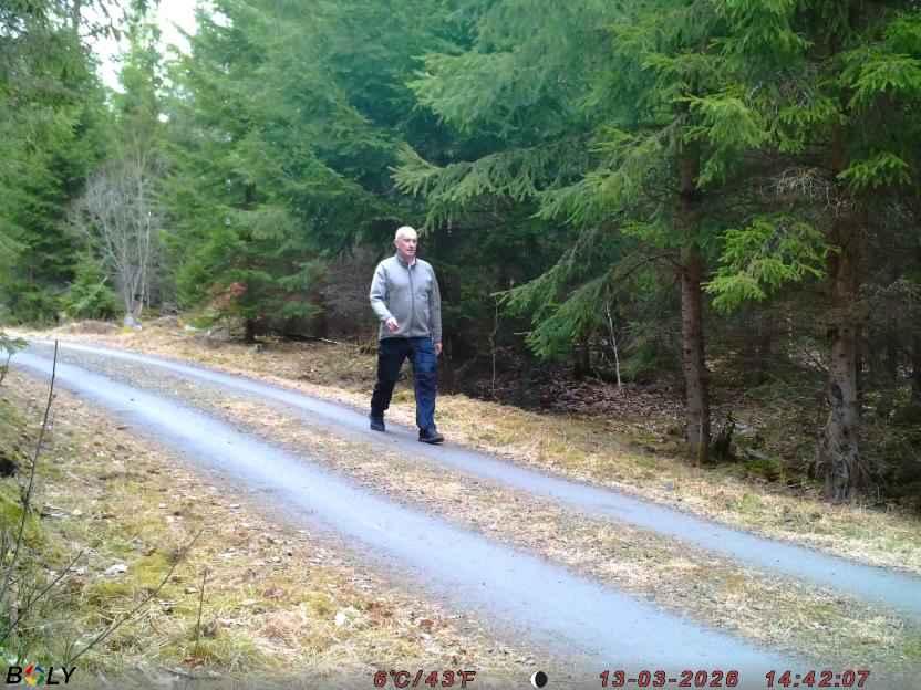 Bild från STORATRÄA