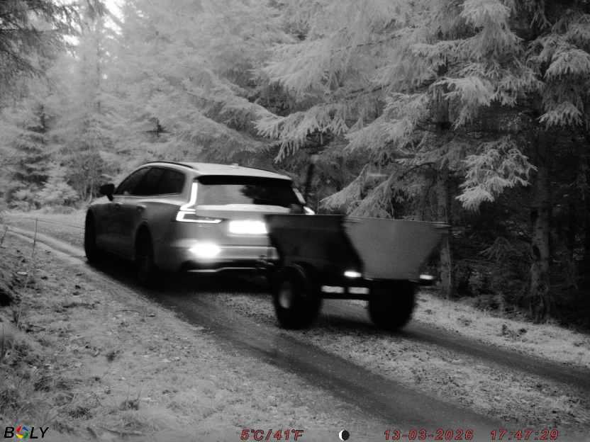 Bild från STORATRÄA