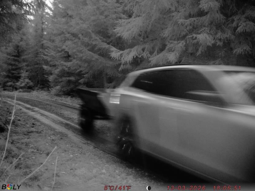 Bild från STORATRÄA