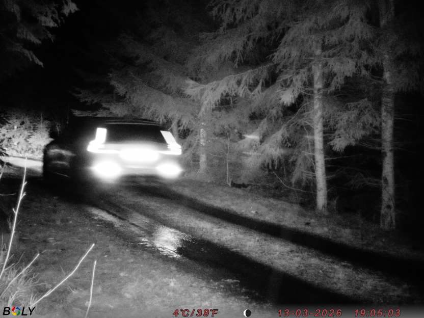 Bild från STORATRÄA