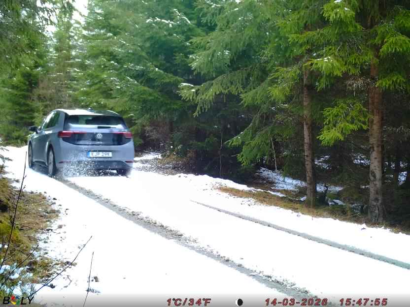 Bild från STORATRÄA