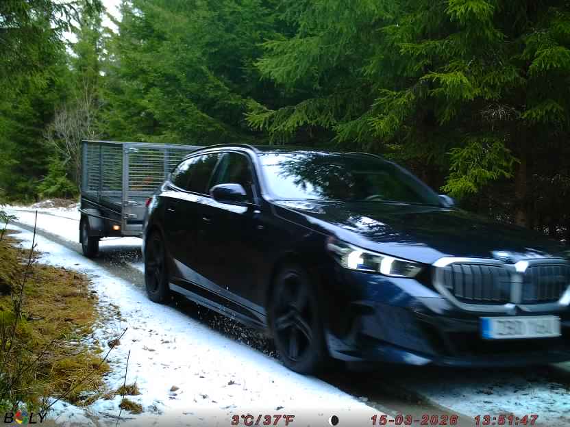 Bild från STORATRÄA