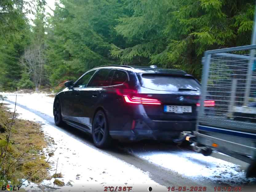 Bild från STORATRÄA