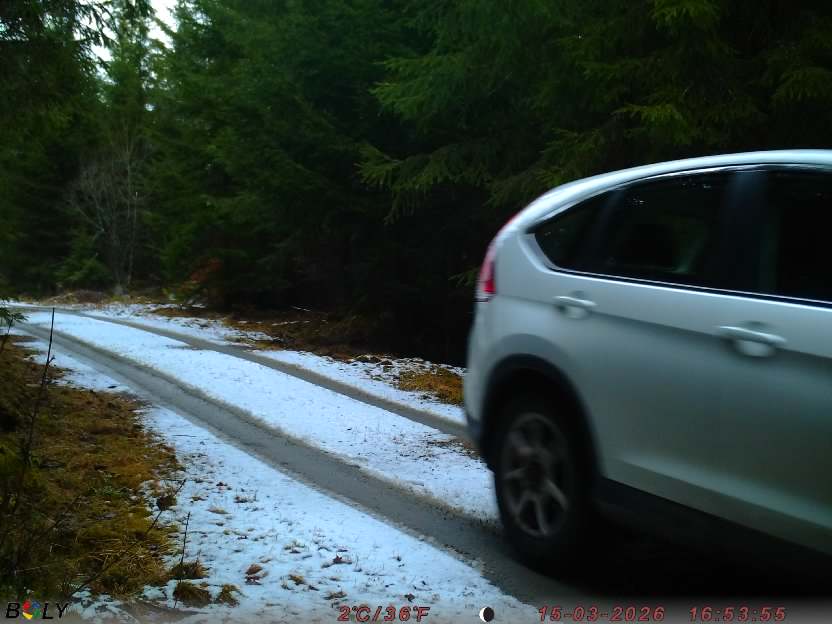 Bild från STORATRÄA