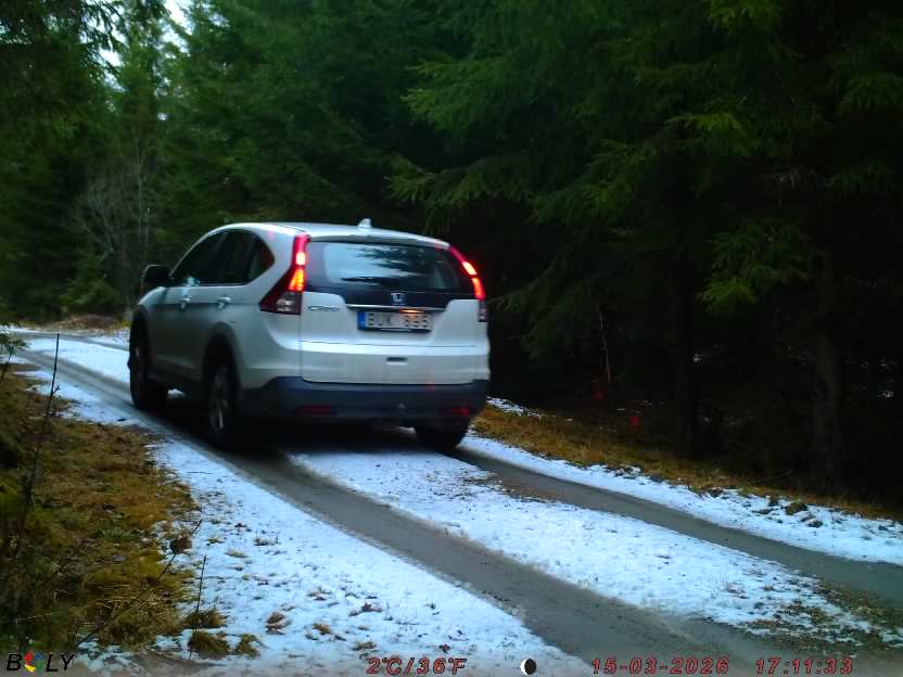 Bild från STORATRÄA