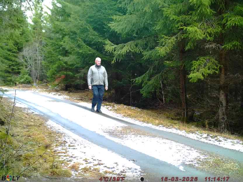 Bild från STORATRÄA